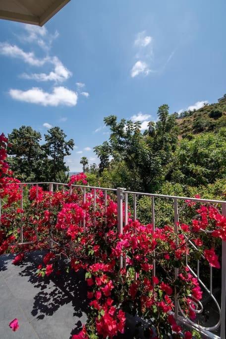 Stunning Hollywood Midcentury Modern-Views-Best Location! Los Ángeles Exterior foto