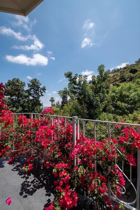 Stunning Hollywood Midcentury Modern-Views-Best Location! Villa Los Ángeles Exterior foto