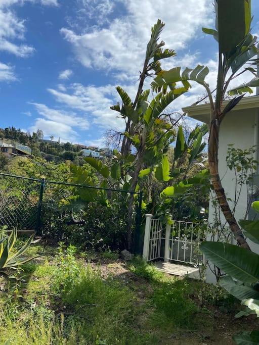 Stunning Hollywood Midcentury Modern-Views-Best Location! Los Ángeles Exterior foto